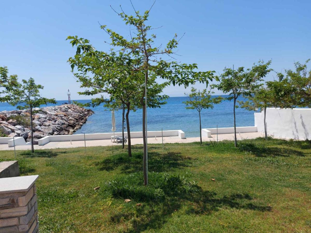 Pansion Alexandros By The Sea Aparthotel Nea Skioni Exterior photo